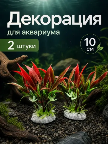 ZebraZoo Растения для аквариума набор 2шт