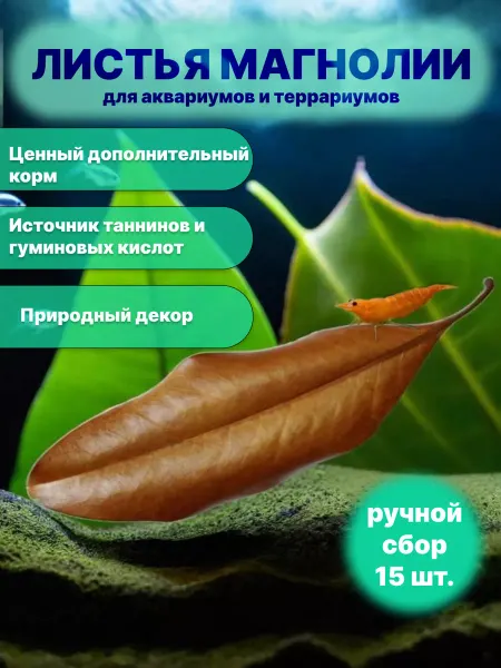 ECO store Листья магнолии, 15-20 см 15 штук