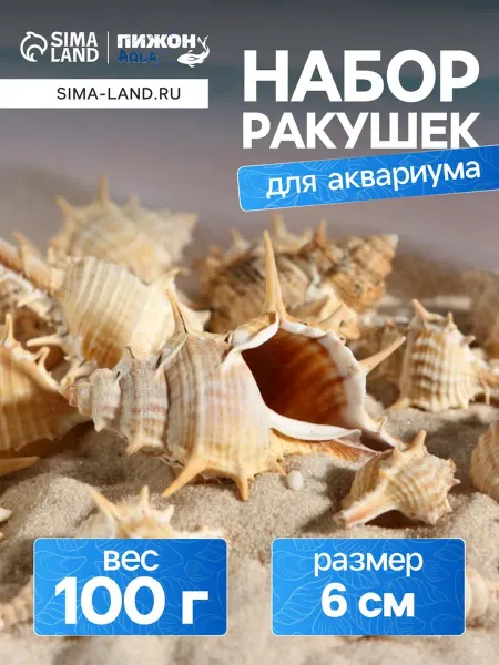 <> Набор ракушек для аквариумов и террариумов