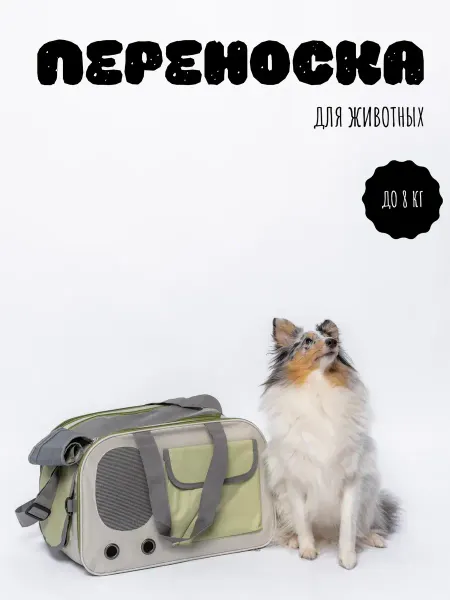 CarriefoanimalPlus Переноска для животных