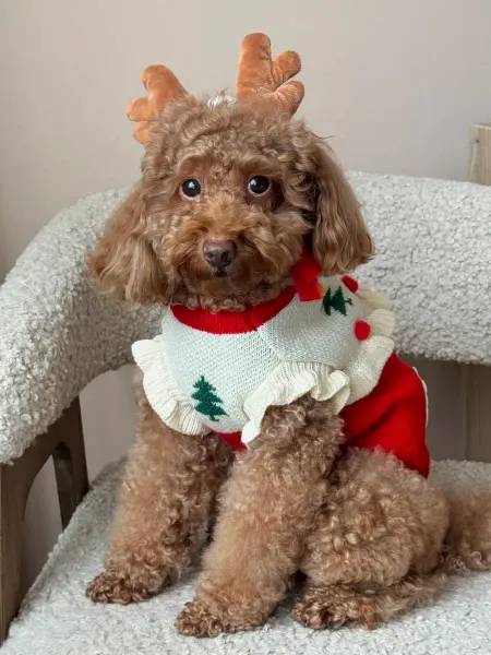 Pawsy Свитер для собак новогодний