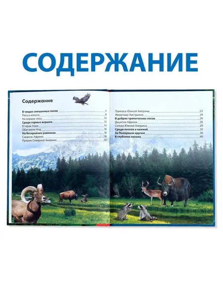 Удивительный путеводитель по животным