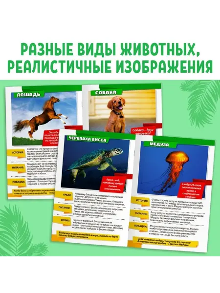 Образовательный набор мини-энциклопедий о животных