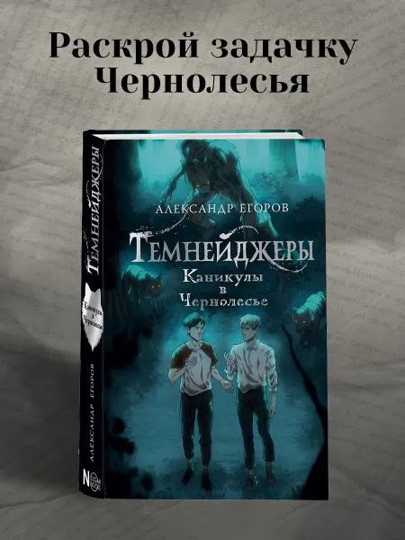 Издательство АСТ Темнейджеры. Каникулы в Чернолесье