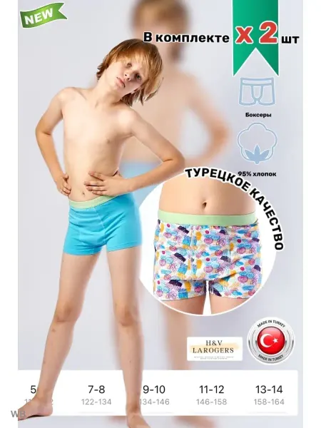 PREMIUM UNDERWEAR Трусы детские боксеры набор 2 шт