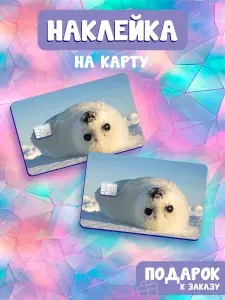 Милые тюлени и нерпы, Наклейка на банковскую карту