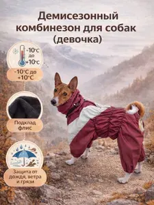 Комбинезон на флисе для собак породы Басенджи /Девочка/