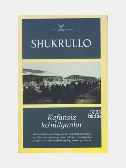 Роман Погребенные без савана, судьба человека, трагедия и правда книга