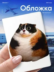 Обложка на паспорт Котость