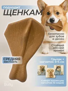Игрушка для собак средних пород и щенят кость. Безопасный, долгоиграющий грызак для чистки зубов и жевания из полимера