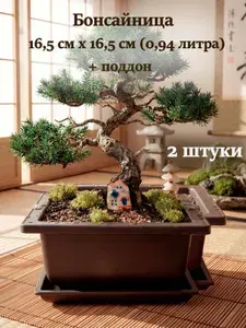 Бонсайница 0,94л 2шт