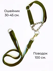 Поводок с ошейником-удавкой, нейлон