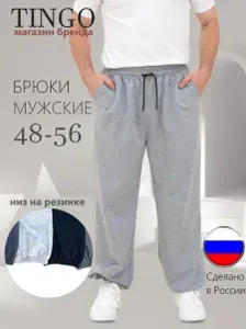 Брюки TINGO брюки мужские спортивные