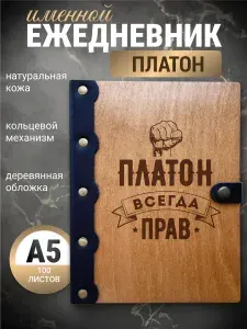 Ежедневник Платон всегда прав / Блокнот Именной / Записная книжка на кольцах