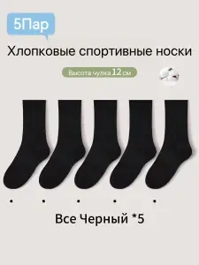 Носки мужские, женские, 5 пар