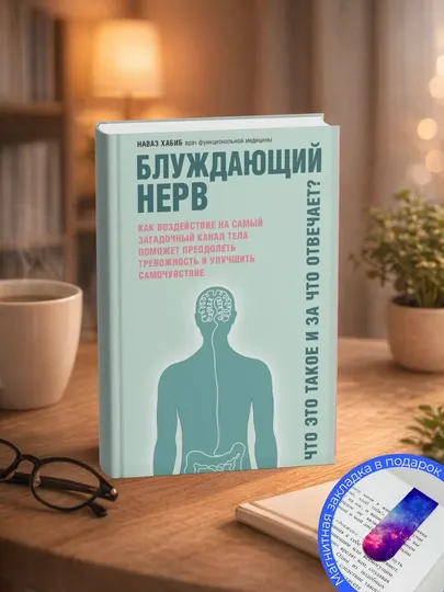 Наваз Хабиб. Блуждающий нерв. Что это такое и за что отвечает? Как воздействие на самый
