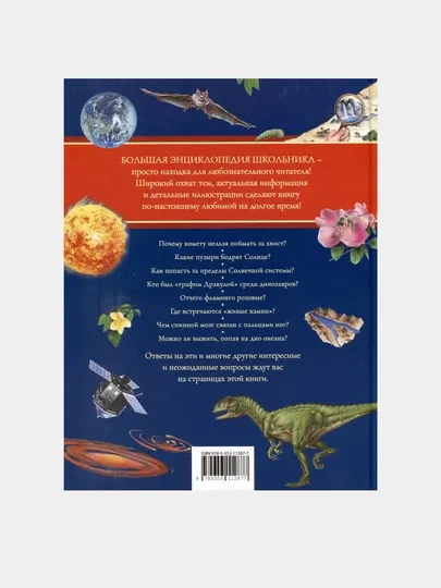 Большая энциклопедия школьника. Книга вопросов и ответов