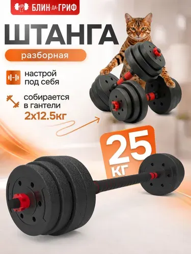 Штанга разборная 25кг, гантели 12кг 2шт