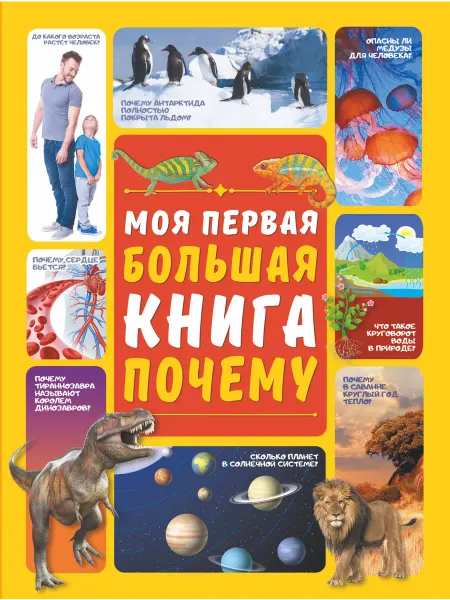Книжный дом РФ Моя первая большая книга ПОЧЕМУ