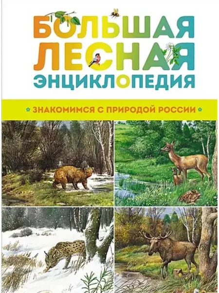 Издательство Махаон Большая лесная энциклопедия. Знакомимся с природой России