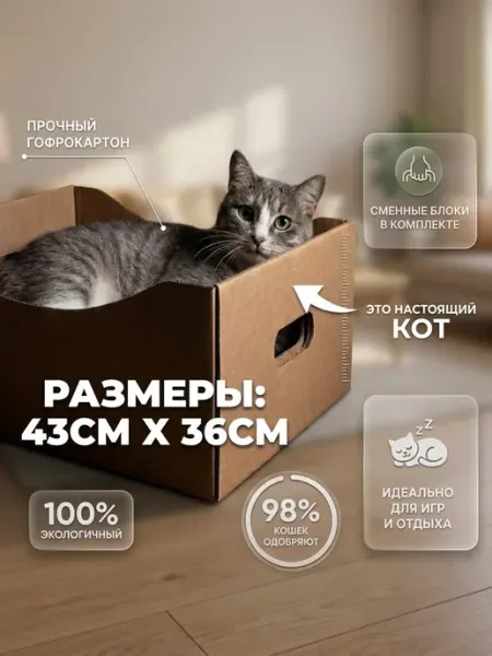 Панда и Панда Когтеточка для кошки большая картонная в коробке