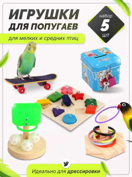 Больше чем просто друг Игрушки для попугаев волнистые скейт для дрессировки птиц
