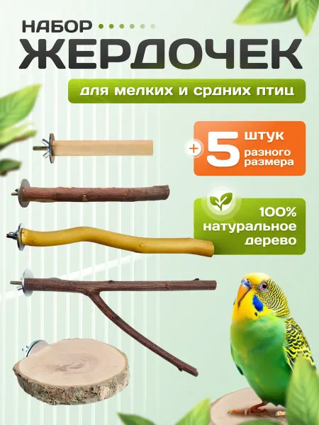 Больше чем просто друг Жердочки для попугаев из дерева в клетку