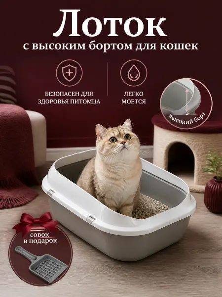 Кошачий лоток большой, совок в подарок