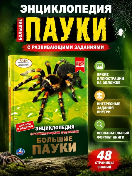 Умка Книга детская энциклопедия с заданиями Большие пауки