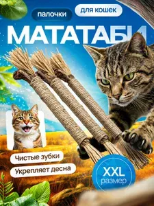 Игрушка для кошек с кошачьей мятой, палочки мататаби лакомство для кошек, большие, 3 шт