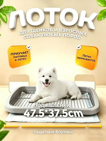 Большой размер лоток для собак