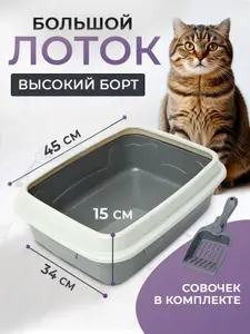 Лоток большой с бортом высокий глубокий для кошек, животных