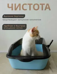 Лоток большой с высоким бортом для кошек и котов голубой