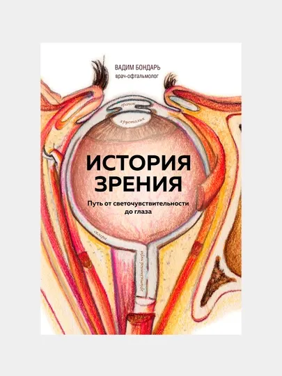 История зрения: путь от светочувствительности до глаза, Вадим Бондарь