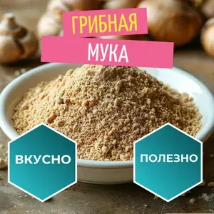 Мука из сушёных белых грибов в порошке/ Боровик / Приправа грибная 50 гр.