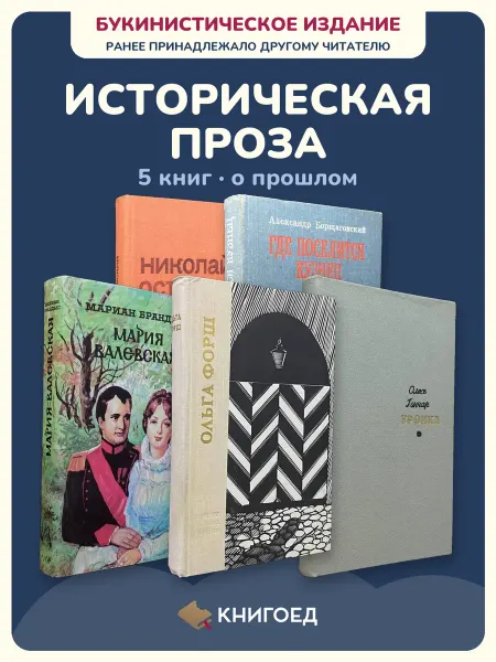 Книгоед исторические романы Островский Борщаговский Брандыс Форш