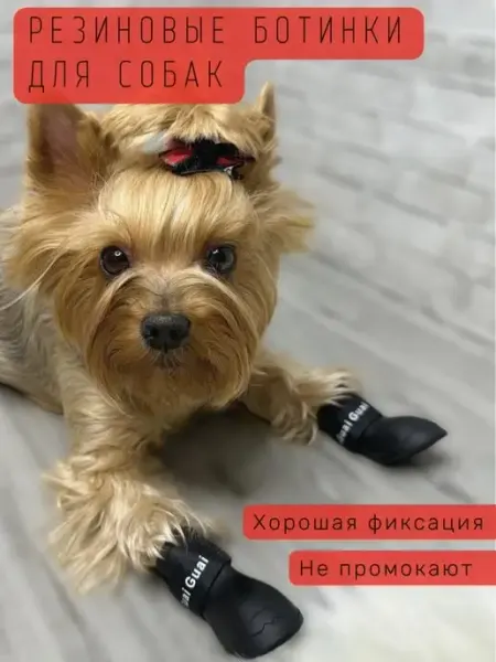 Ермолаева Н.В. Резиновые ботинки для собак всех пород