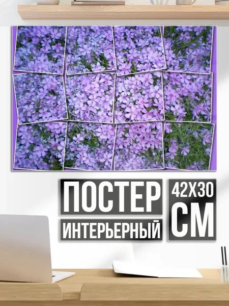 Плакат постер цветочный коллаж