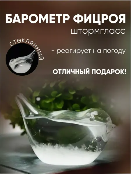 Барометр фицроя штормгласс