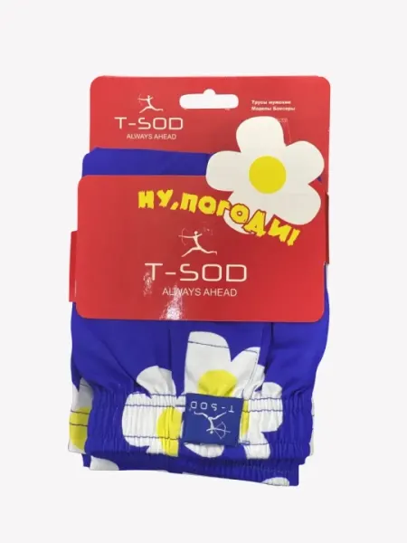 Мужские трусы семейные синий T-Sod