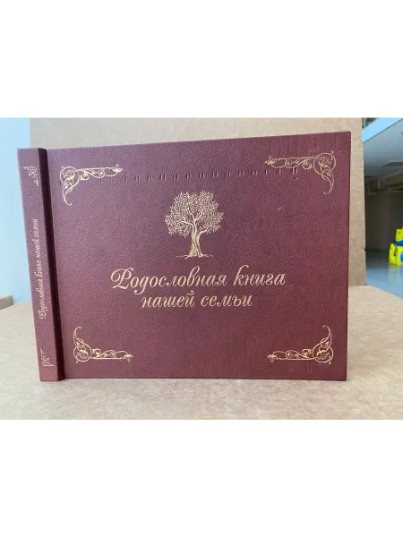 ПУШКИН БУКИНИСТ Родословная книга нашей семьи