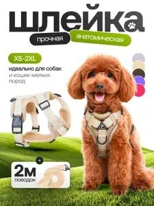 Шлейка для собак анатомическая, бежевая, XS