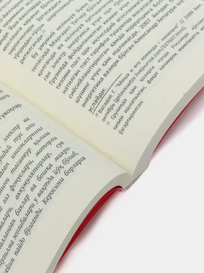 Книга Лариса Буракова Грузия муваффакиятга кандай эришди? Ислоҳотлар, Иқтисодиёт, Сиёсат