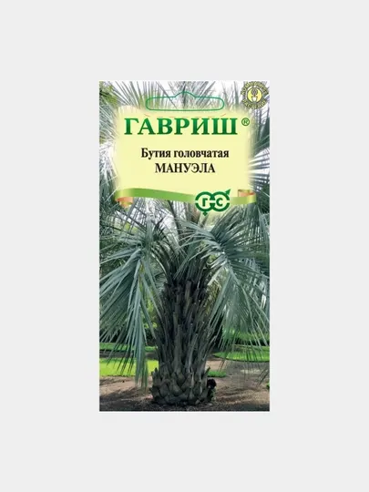 Семена Бутия головчатая Мануэла, 3 шт, Гавриш, цветочная коллекция
