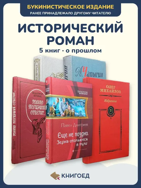 Книгоед исторические романы Бушин Чапыгин Ягунин Дмитриев Михайлов