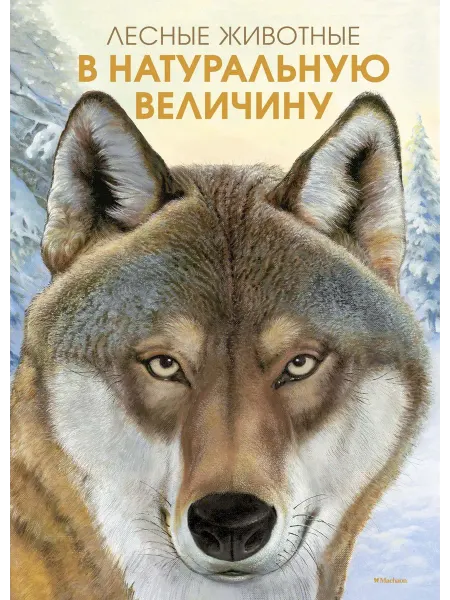 Книжный дом РФ Лесные животные в натуральную величину