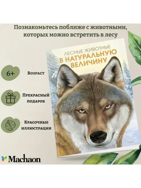 Издательство Махаон Лесные животные в натуральную величину