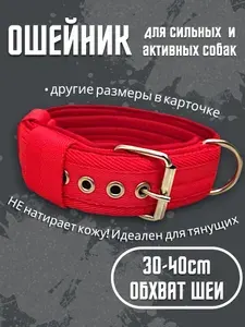 Ошейник на пряжке красный. Размер 30-40см. Ширина 5см. Усиленный, для средних и крупных собак. Для прогулок, дрессировки, спорта