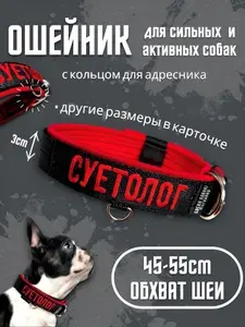 Ошейник 3см "Суетолог", размер 45-55см, для прогулок, спорта, дрессировки, черный с красным с вышивкой