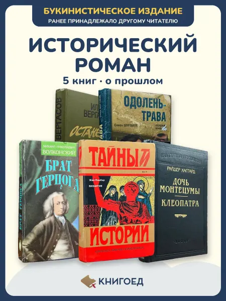 Книгоед исторические романы Вергасов Шуртаков Волконский Ломбар